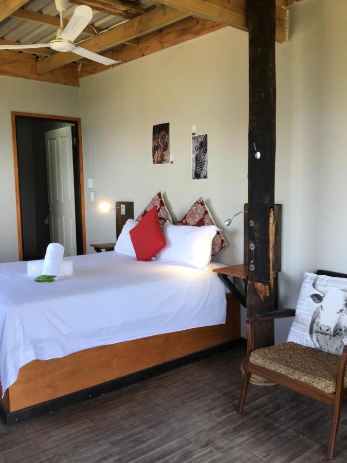 Coram Deo Saltywaves Double En-Suite Rooms With Sea Views Coffee Bay Exterior photo